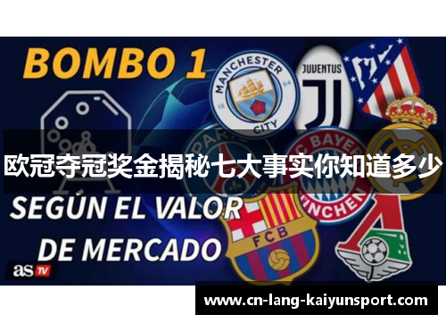 欧冠夺冠奖金揭秘七大事实你知道多少